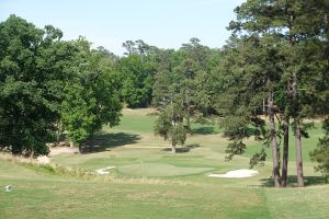 Palmetto 11th